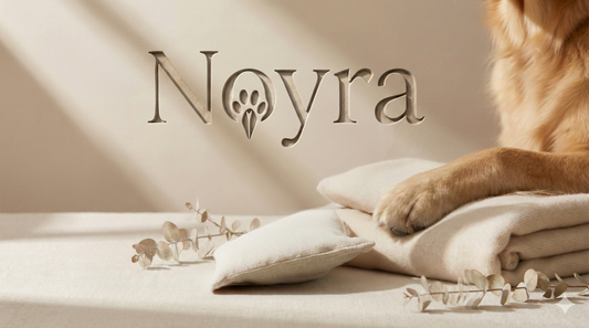 NoyraCare : les valeurs qui guident nos produits et notre futur